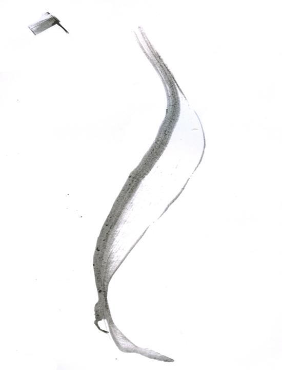 col-sm-3