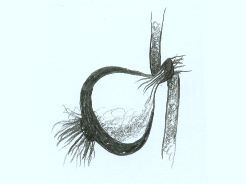 col-sm-3