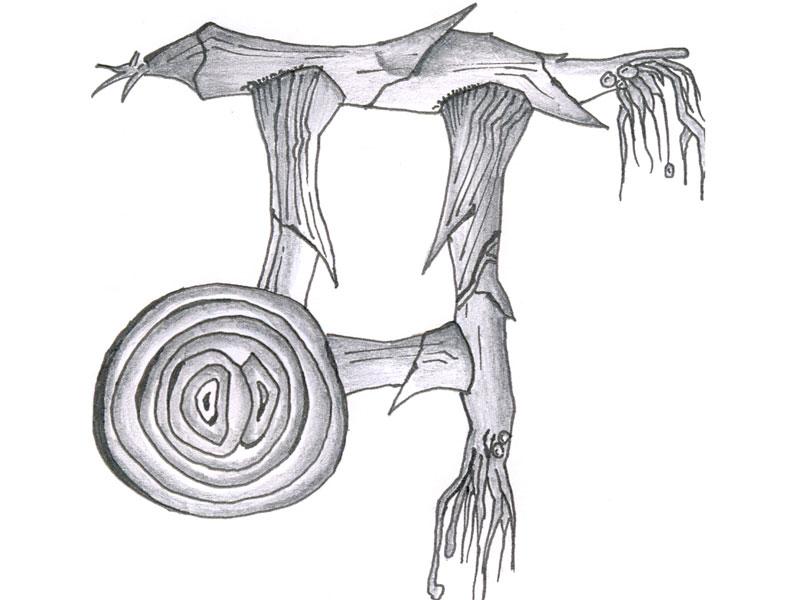 col-sm-4