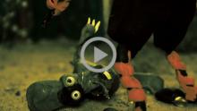 Clay Animation Module - 3