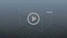 Objects in 3D Animation